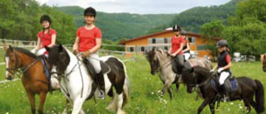 Reitzentrum Lichtenstein Standort